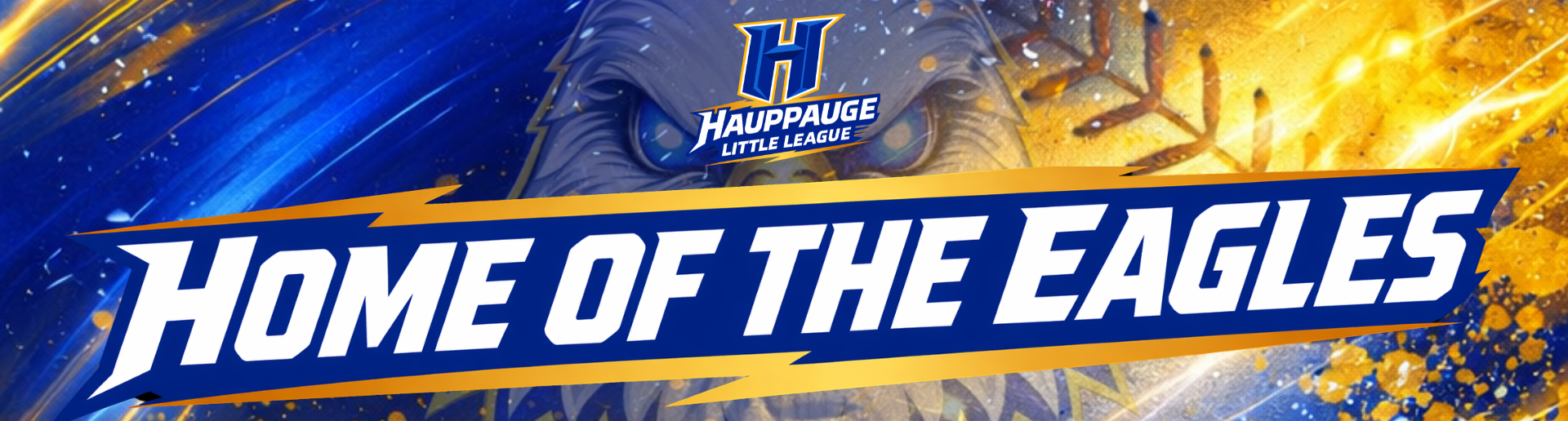 HAUPPAUGE LITTLE LEAGUE